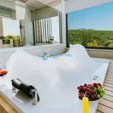 Villa Aşiyan